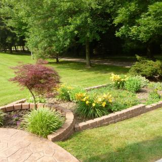 A beautiful garden with vibrant flowers and lush greenery.