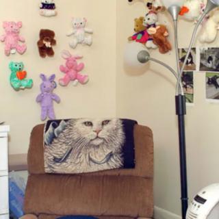A cozy room corner with a chair covered by a cat-design blanket, surrounded by stuffed animals on the walls and a standing lamp nearby.