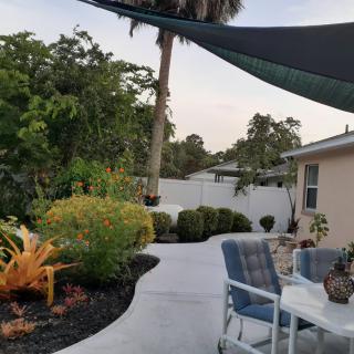 A serene backyard patio with chairs and lush garden landscaping.