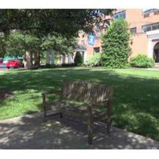 A wooden bench in a sunny park setting with trees and a building in the background.