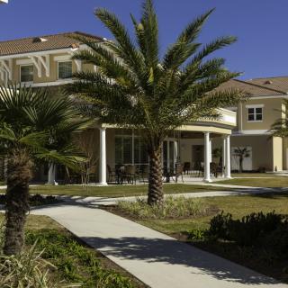 A suburban house with a front lawn and palm trees on a sunny day.