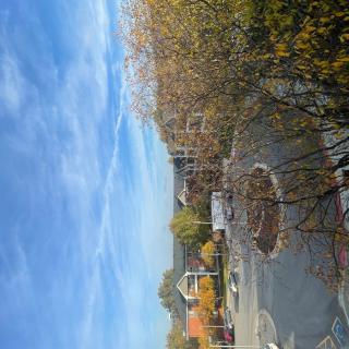 A serene autumn landscape with a pond and colorful trees under a blue sky.