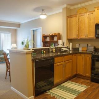 A cozy modern kitchen featuring wooden cabinets and an open layout.