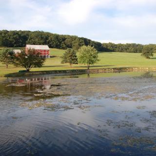 A serene countryside scene featuring a red barn by a tranquil pond surrounded by lush greenery.