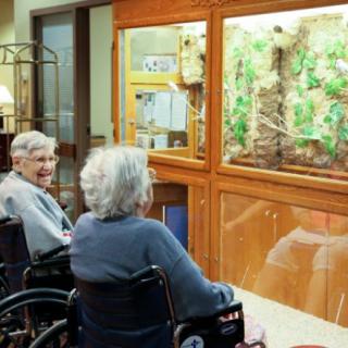 Providence Place - Long Term Care Unit