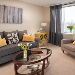 A cozy and stylish living room featuring modern furniture and bright decor.