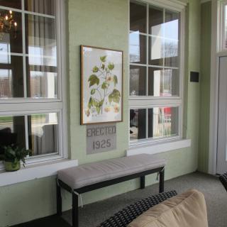 A cozy room with green walls, featuring a bench and a botanical painting between two large windows.