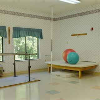 A physical therapy room equipped with parallel bars and exercise balls.