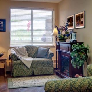 A cozy living room with a sofa, plants, and artwork by the window.