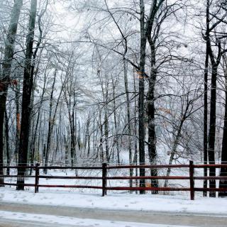 Bethesda Ranch