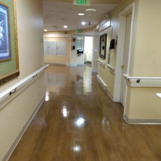 A clean and empty hallway in a healthcare facility, featuring handrails and artwork on the walls.