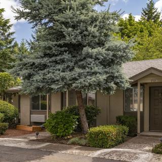 A quaint single-story house with a large tree and well-maintained garden.