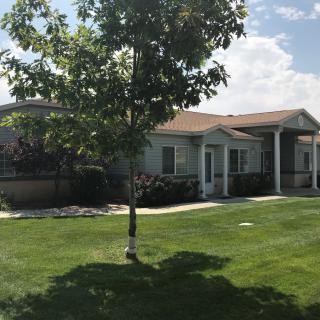 A suburban house with a well-maintained lawn and a tree in the front yard.