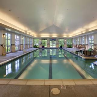 A serene indoor swimming pool surrounded by large windows, perfect for relaxation and wellness.