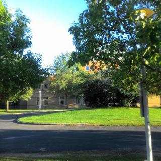 A peaceful park area surrounded by trees and a curved road.