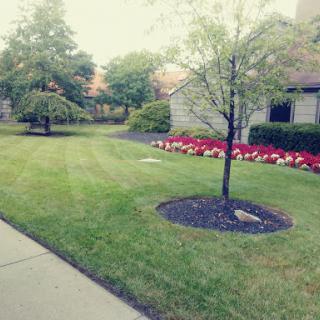 A serene garden scene featuring well-manicured lawns, blooming flowers, and lush trees.
