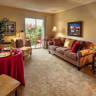A cozy living room with a sofa, armchair, and coffee table, bathed in natural light.