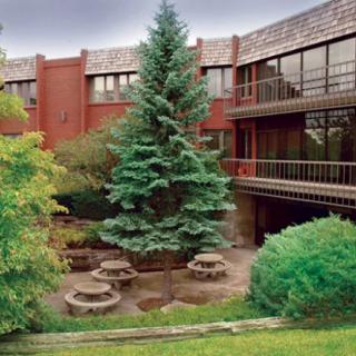 A courtyard with a prominent tree surrounded by a multi-story building.