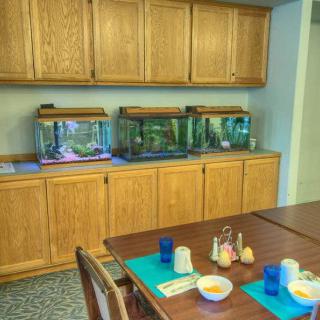 A dining area featuring a set of fish tanks on wooden cabinets and a table set for a meal.