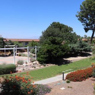 A sunny garden landscape with trees and a pathway.