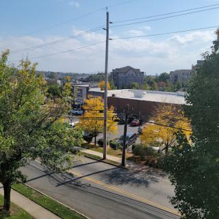 A view of a city street showcasing the vibrant colors of autumn foliage.