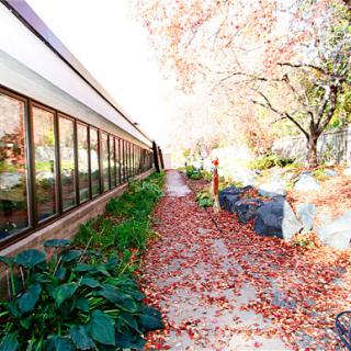 A serene autumn pathway lined with colorful leaves and a modern building.