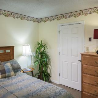 A cozy bedroom with a bed, lamp, dresser, and decorative plant.