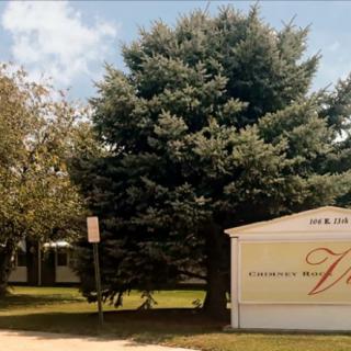 A large tree stands beside a white sign with elegant lettering, set against a clear blue sky.