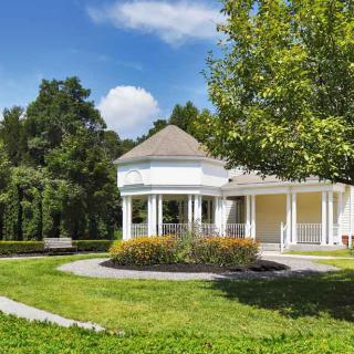 A charming house with a garden surrounded by trees on a sunny day.
