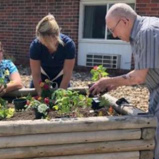 A group of people working together in a garden, planting and tending to plants.