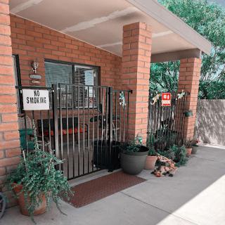 A cozy entrance featuring potted plants and a decorative fence.