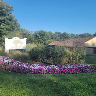 A vibrant flower garden with a welcoming sign under a clear blue sky.