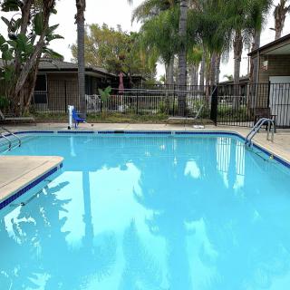 A serene outdoor swimming pool surrounded by palm trees in a residential area.