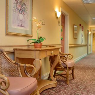 A warmly lit hallway with decorative furniture, featuring two chairs and a small table adorned with a plant and artwork on the walls.