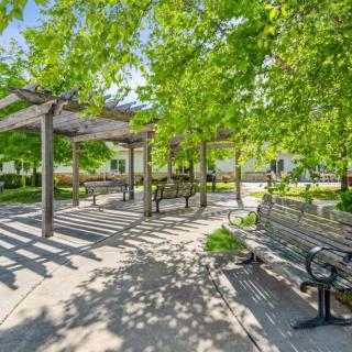 A peaceful park scene with benches under a pergola surrounded by lush greenery on a sunny day.