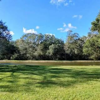 A serene view of a lush green landscape by the water under a clear blue sky.