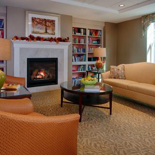 Cozy living room with a fireplace and bookshelves.