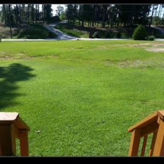 A lush green lawn with a view of trees and a road in the background.