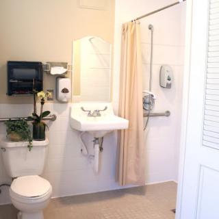 A clean and accessible bathroom featuring a toilet, sink, shower with curtain, and a decorative plant.