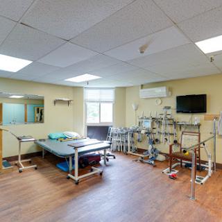 A well-equipped therapy room designed for rehabilitation and physical therapy.