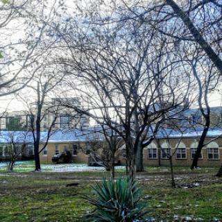 A serene winter scene showcasing bare trees and a distant building.