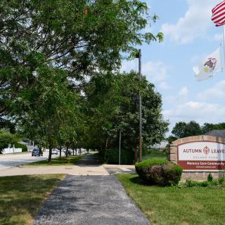 A sidewalk lined with trees next to a road, with flags and a sign nearby.