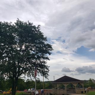 A serene park scene featuring a large tree against a cloudy sky, with a pavilion in the background.