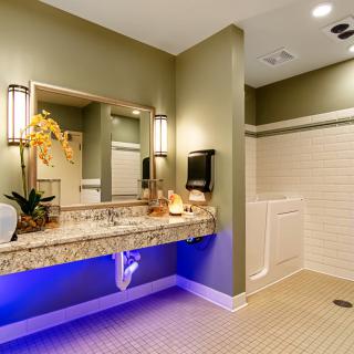 A modern bathroom with stylish lighting, granite countertop, and an elegant orchid decoration.