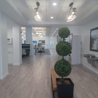 A modern office lobby featuring stylish topiary plants and a bright, open layout.