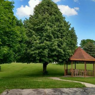 A peaceful park scene with a gazebo and large tree under a blue sky.