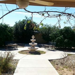A serene garden with a central fountain surrounded by greenery and a paved pathway.