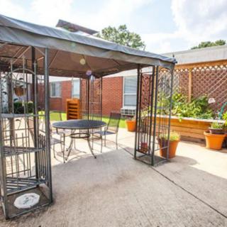 A cozy outdoor patio area with a gazebo and surrounded by plants.