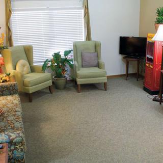 A cozy living room with chairs, a sofa, a television, and a houseplant.
