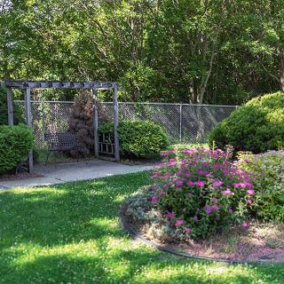 A tranquil garden scene with vibrant flora and lush greenery.